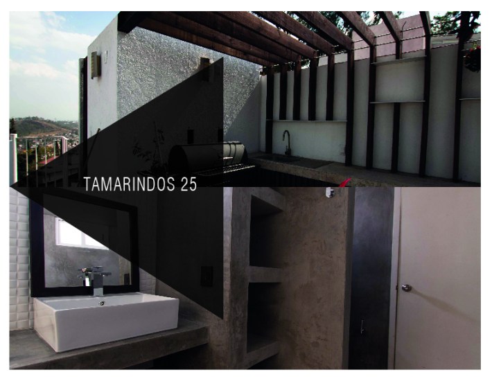 portafolio tamarindos 1