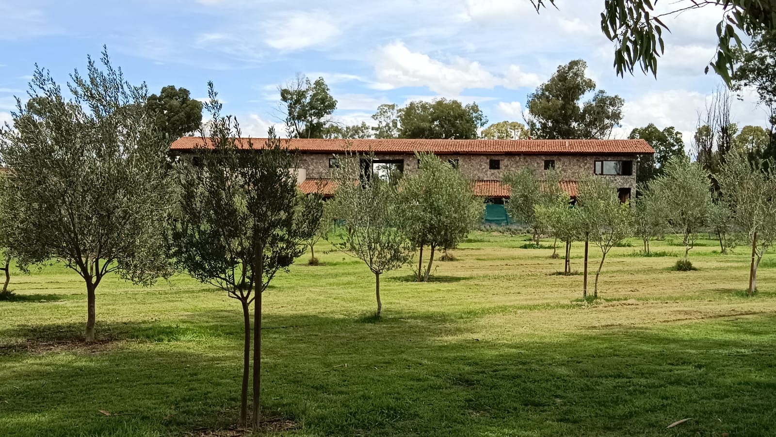 Construcción de casas